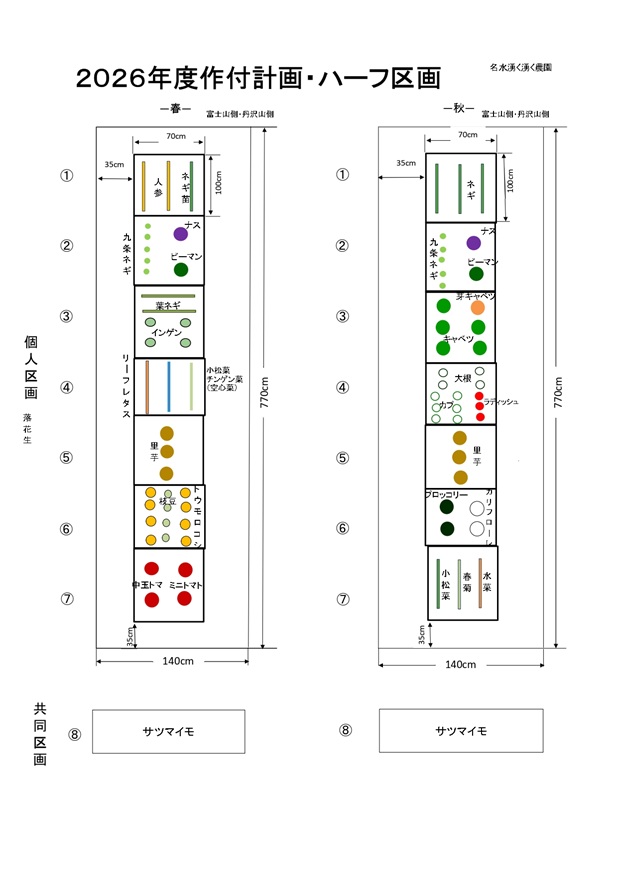 ハーフ区画作付け計画表